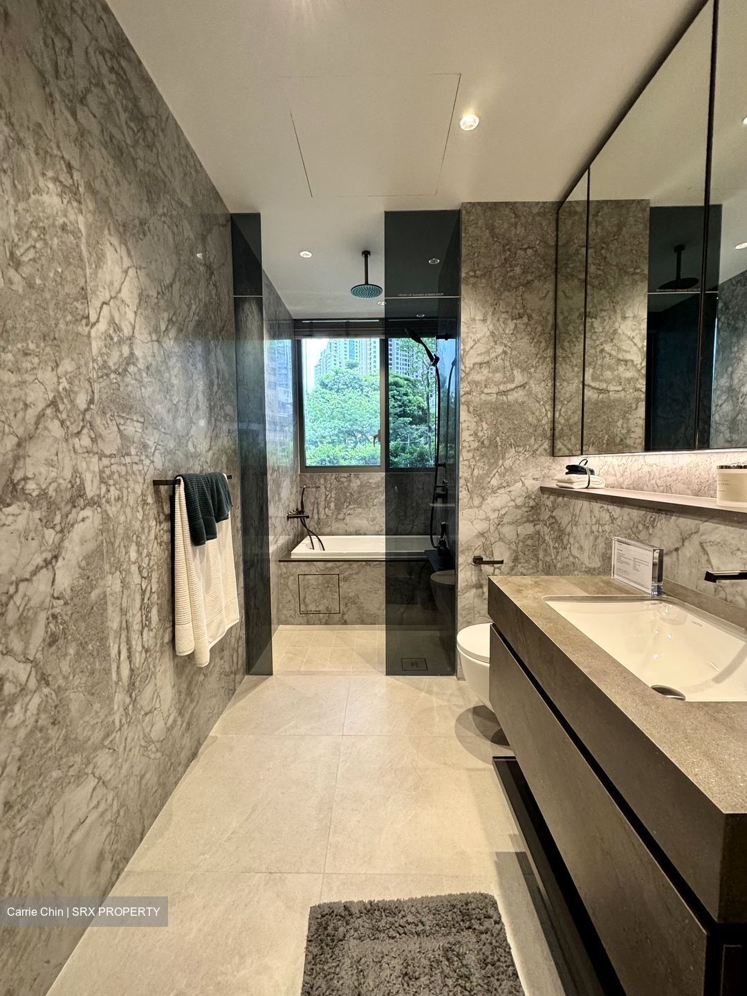 Promenade Peak (D3), Condominium #486812781